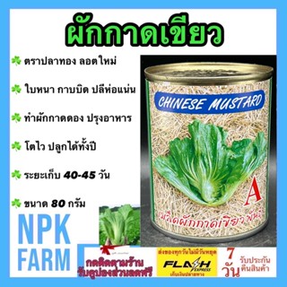 ผักกาดเขียว ผักกาดดอง เขียวปลี ขนาด 80 กรัม เมล็ดพันธุ์ ปลาทอง ลอตใหม่ งอกดี ปลูกง่าย ใบหนา กาบบิด ปลีห่อแน่น ผลผลิตสูง