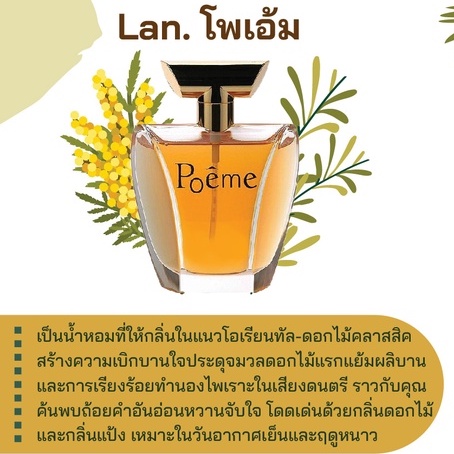 หัวเชื้อน้ำหอม กลิ่นแฟชั่น LAN. โพเอ้ม 30 cc.