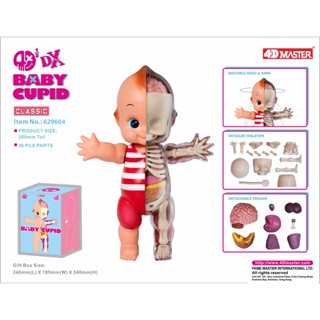 (พร้อมส่ง) 4D Half - DX Baby Cupid Swimsuit