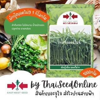 EWCOM เมล็ดพันธุ์ ผักบุ้งจีนใบไผ่ ยอดไผ่ 9 ตราศรแดง 1 กิโลกรัม ตราศรแดง Chinese Convolvulus