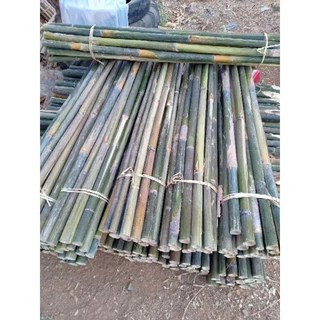 NaNaPanไม้ไผ่ปลายแหลมหลักยึดต้นไม้(แบบลำ)ความยาว100cm. จำนวน1มัดมี10ท่อน**กดสั่งซื้อครั้งละ 1 มัด**