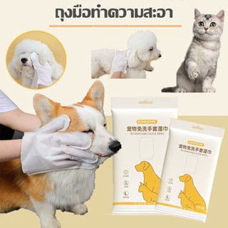 เตรียมจัดส่ง ถุงมือทำความสะอาดสัตว์เลี้ยง ทิชชู่เปียกสัตว์เลี้ยง 6pcs ถุงมือ ถุงมือแมว ถุงมือรูดขน ถุงมืออาบน้ำแมว