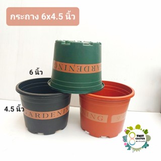 กระถาง Gardening 6 นิ้ว // กระถางแคคตัส กระถางพลาสติก กระถางเกษตร