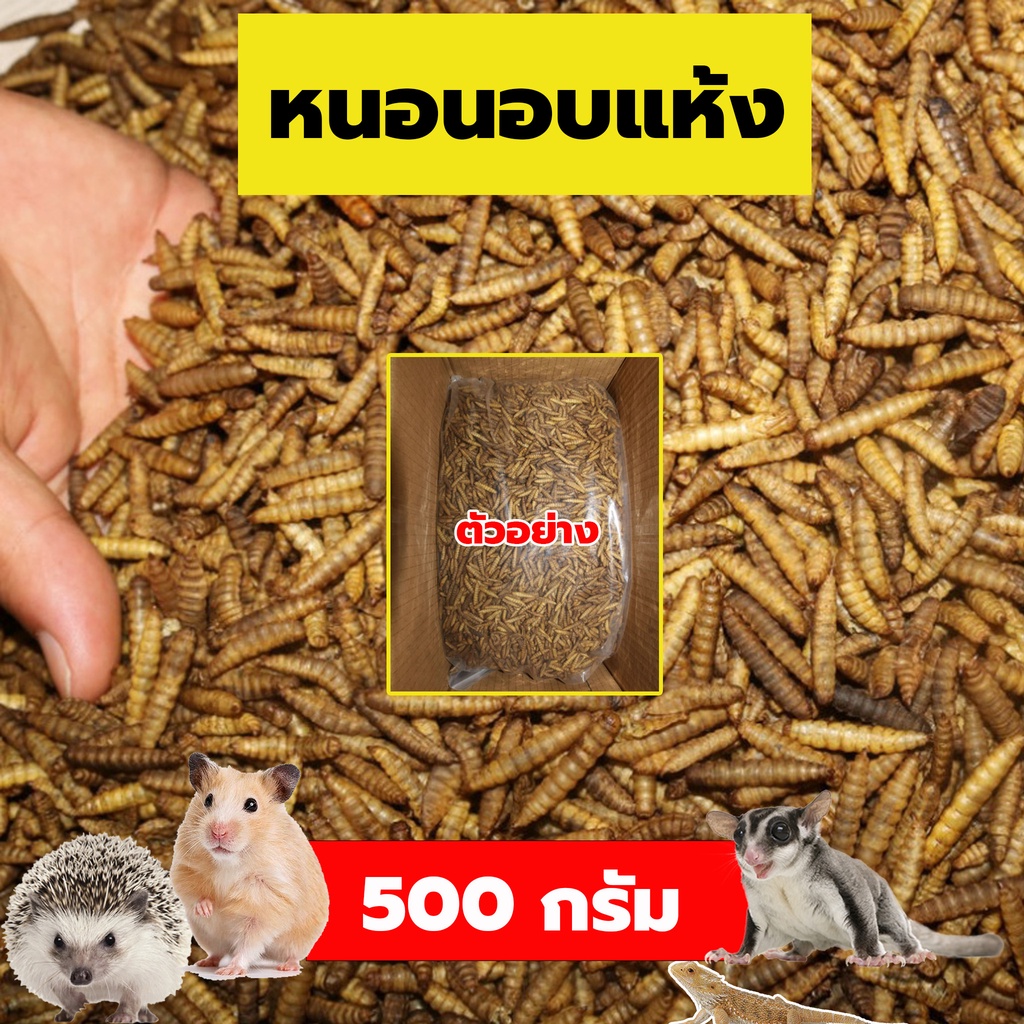 หนอนนกอบแห้ง 500g สำหรับเม่นแคระ ชูก้าไรเดอร์ เบียดดราก้อน หนูแฮมเตอร์