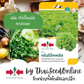 GGEW เมล็ดพันธุ์ซฟ กรีนโอ๊คพลัส 40 เมล็ด ตราศรแดง ผักกาดหอม ผักสลัด