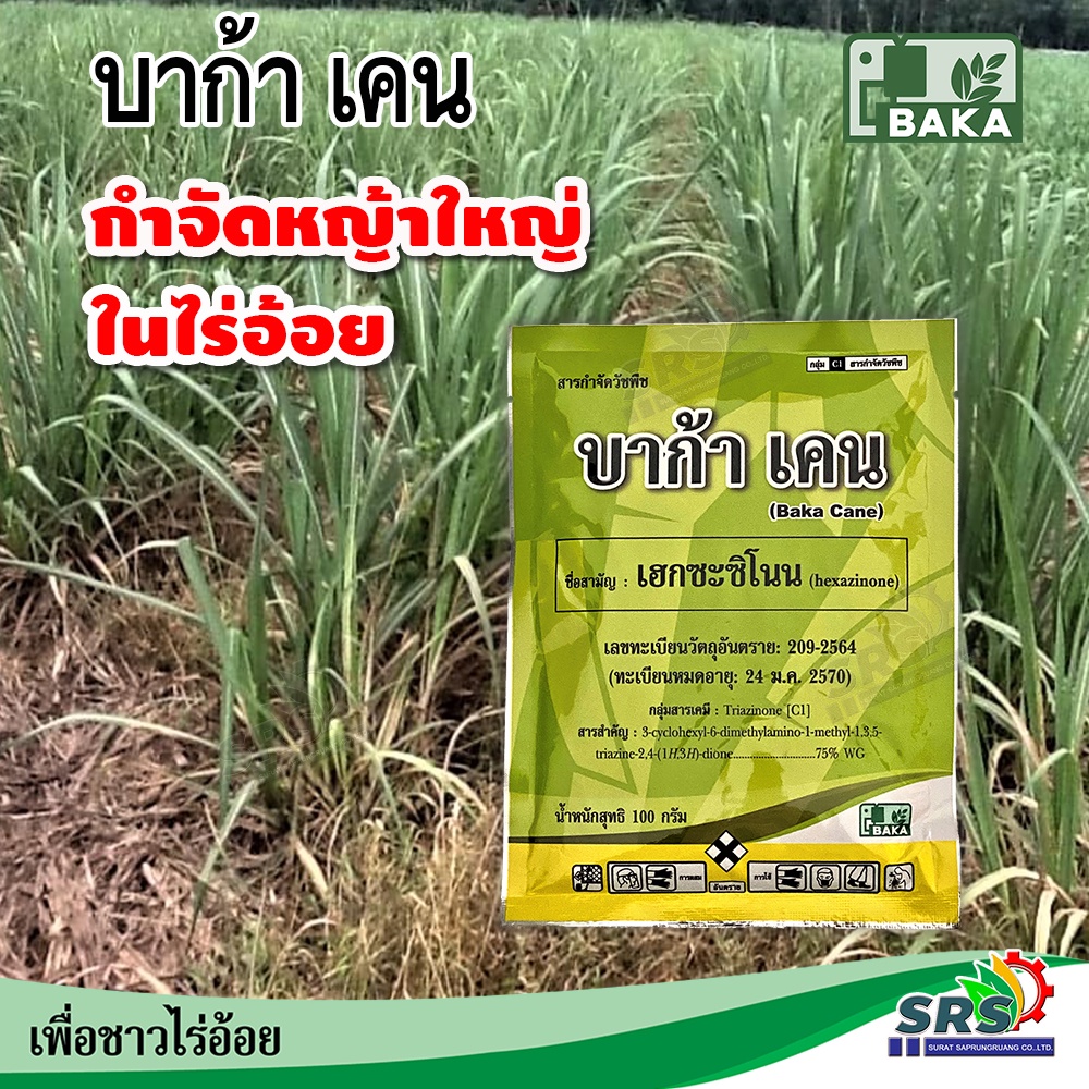 บาก้าเคนเฮกซะซิโนน กำจัดวัชพืช ยาฆ่าหญ้าในไร่อ้อยสวนยางสัปะรดฉีดพ่นได้แม้ดินแห้งความชื้นน้อยสูตรเม็ดเข้มข้นอัตราใช้น้อย