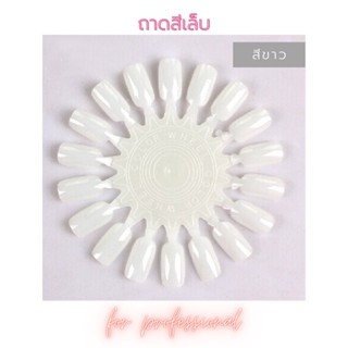 ชาร์ตสีเล็บ ถาดสีเล็บ diy สีใส สีขาว