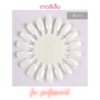 ชาร์ตสีเล็บ ถาดสีเล็บ diy สีใส สีขาว