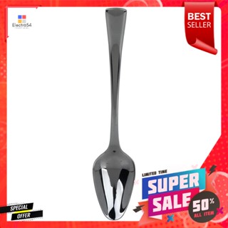 ช้อนชาสเตนเลส KECH FISHSTAINLESS TEA SPOON KECH FISH