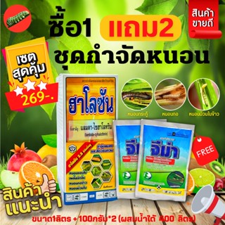 🥬 ชุดกำจัดหนอน (ฮาโลซัน 1 ลิตร+จีม่า 100กรัม*2) ซื้อ 1 แถม 2