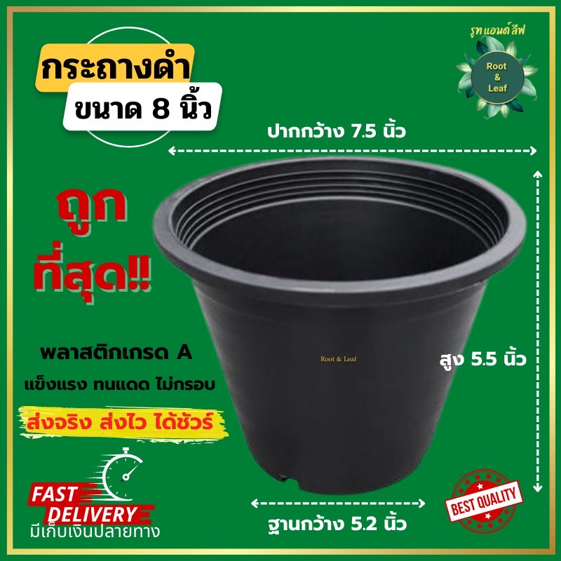 กระถางพลาสติกดำ กระถางดำ ขนาด 8 นิ้ว ผลิตจากพลาสติกเกรด A เหนียว แข็งแรง ทนแดด ไม่กรอบ ไม่แตกง่าย สินค้าพร้อมส่ง