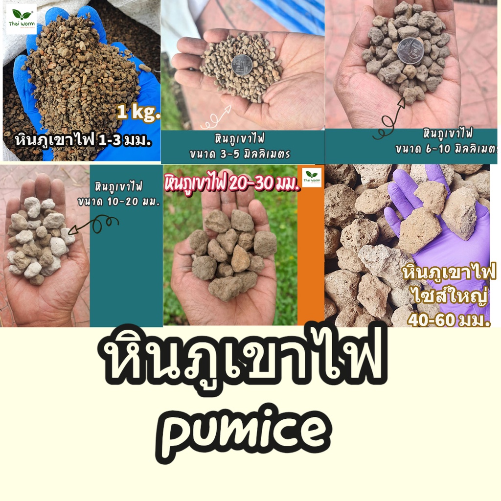 หินภูเขาไฟ นำเข้า 1 กก.