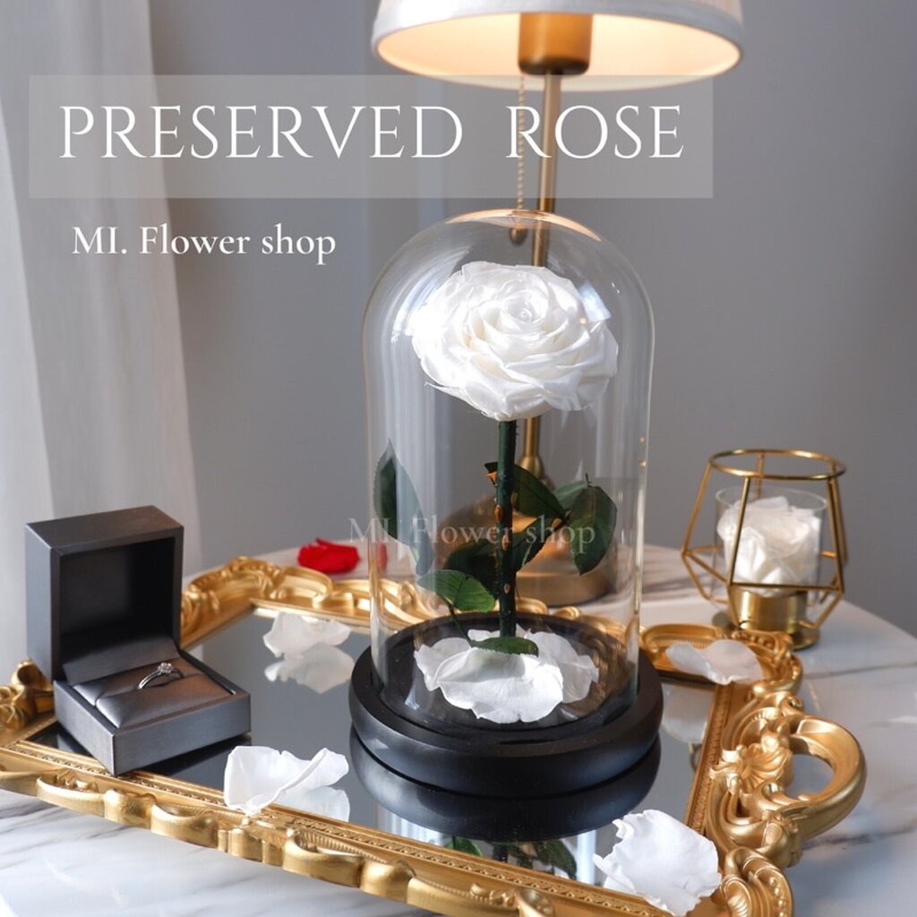ดอกกุหลาบในโหลแก้ว Preserved Rose Size L สีขาว