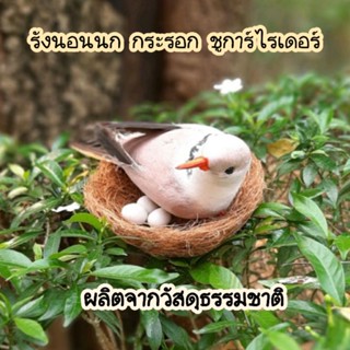 รังนก  ผลิตจากวัสดุธรรมชาติ มี 4 ขนาด