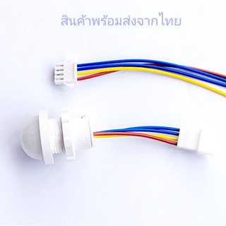 สวิตช์จับเคลื่อนไหว 220V สวิตช์เปิดปิดอัตโนมัติ  PIR Switch 220V