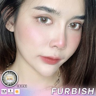 💋 สุดปัง มีค่าสายตา 💋 Wink Furbish Gray Brown บิ๊กอาย สุดปัง คอนแทคเลนส์ รายเดือน มีอย แถมตลับฟรี เลนส์นิ่ม สวยปังมาก