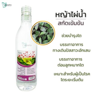 น้ำสกัดหญ้าไผ่น้ำ สูตรเข้มข้น 1,000 มล. น้ำสกัดสมุนไพร หญ้าไผ่น้ำ 100% สหายฤทธิ์เย็น