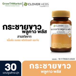 Clover Plus อาหารเสริม สมุนไพร จาก กระชายขาว เห็ดหลินจือ โสม วิตามินซี พลูคาว กระเทียม ซิงค์ ขมิ้นชัน 1 ขวด 30 แคปซูล