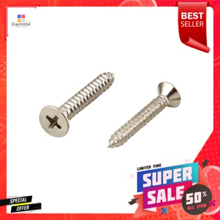 สกรูเกลียวปล่อย TF DEXZON 10X1-1/4 นิ้ว 25 ตัวSELF-TAPPING SCREWS TF DEXZON 10X1-1/4IN 25EA