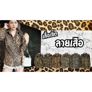 เสื้อเชิ้ตลายเสือ แฟชั่น