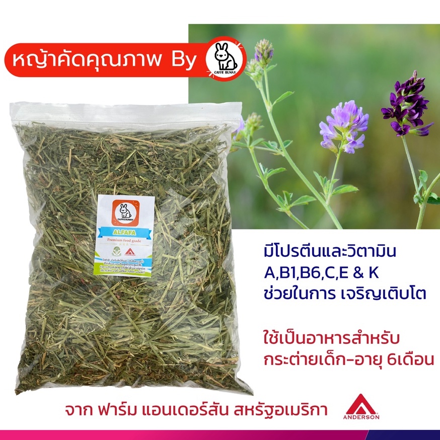 หญ้าอัลฟาฟ่า สำหรับกระต่ายเด็ก สัตว์เลี้ยงตัวเล็ก สัตว์ฟันแทะ อัลฟัลฟ่า Alfalfa Anderson อเมริกา (ไม่ร่อนฝุ่น) 900g/ถุง