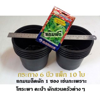 กระถางพลาสติก 6 นิ้ว สีดำ แพ็ก 10 ใบ เนื้อหนามาก เกรดเอ