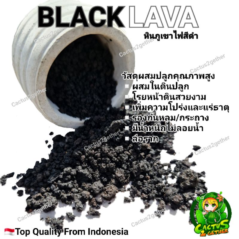 หินภูเขาไฟดำ Blacklava❌️ราคาขายส่ง❌️ถุงใหญ่10กิโลกรัม