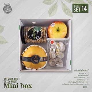 Premium fruit Mini box Set 14