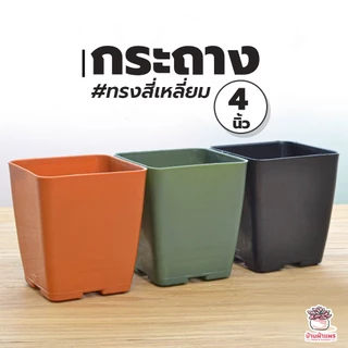 กระถางสี่เหลี่ยม 4 นิ้ว SP040 กระถางพลาสติก แคคตัส กระบองเพชร ไม้อวบน้ำ Cactus&Succulent