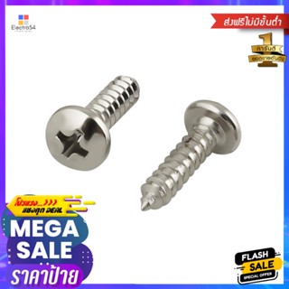สกรูเกลียวปล่อย TP DEXZON 10X3/4 นิ้ว 25 ตัวSELF-TAPPING SCREWS TP DEXZON 10X3/4IN 25EA