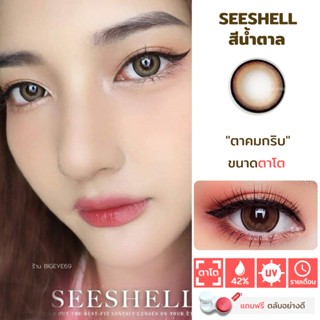 ไม่แถมตลับ Seeshell Brown (ตาโต) คอนแทคเลนส์ Wink