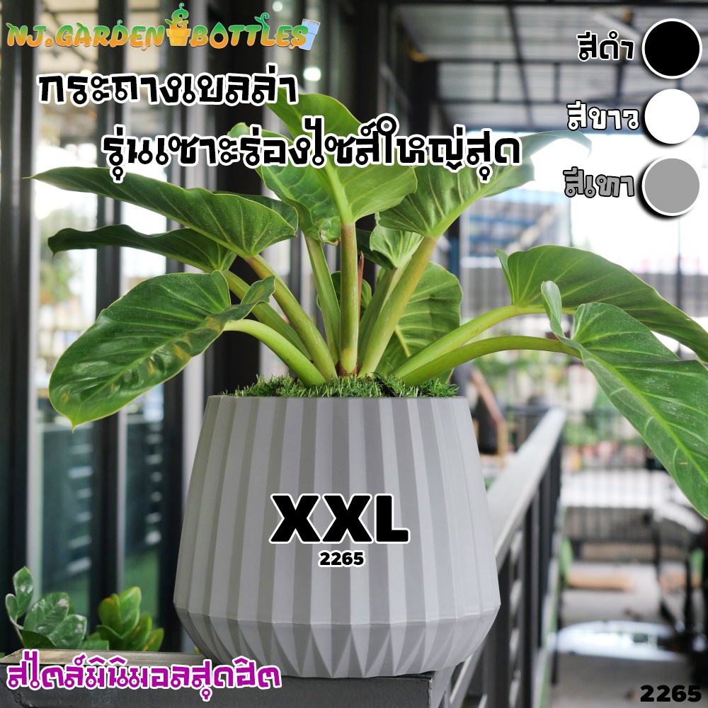 (ไซส์ใหญ่สุด) XXLกระถางเบลล่า รุ่นเซาะร่อง พลาสติกเนื้อหนา เบา ตัวกระถางกักเก็บน้ำได้ในตัว เกรด A รุ่น 2265 มี 3 สี