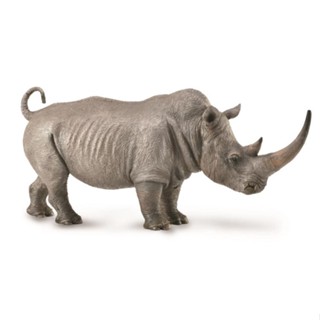 Collecta ของแท้จําลอง Wildlife 88852 Rhino 2019 สไตล์ใหม่