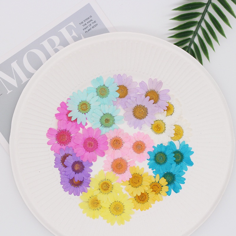 50 ชิ้น กด ดอกไม้แห้ง สีขาว คริสตัล ดอกเบญจมาศ แบบนูน มือหล่น กาววัสดุ DIY การสอน ตัวอย่าง หยดกาว เคสโทรศัพท์มือถือ - รูปที่ 2