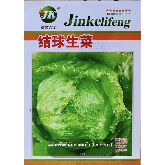 เมล็ดพันธุ์ ผักกาดแก้ว (Iceberg Lettuce) บรรจุประมาณ 3000 เมล็ด