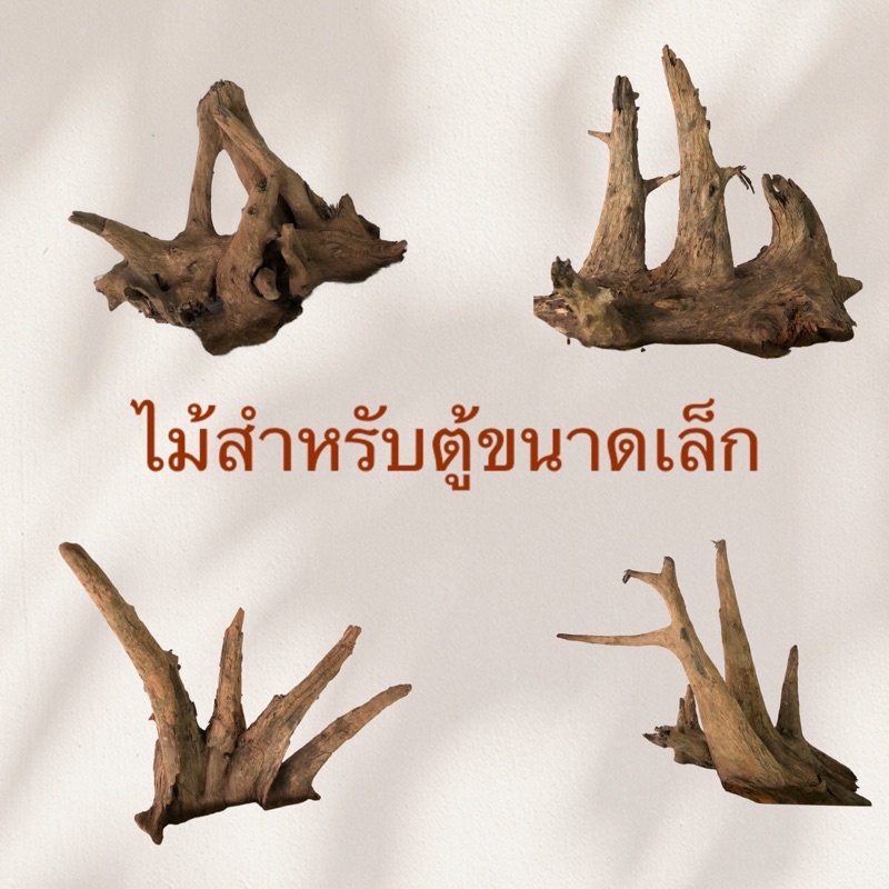 ขอนไม้ รากไม้ สำหรับตกแต่งตู้ไม้น้ำ ตู้ปลา - Wetlandart - Thaipick