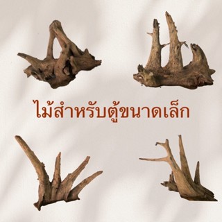 ไม้แต่งตู้ปลาขนาดเล็ก ตอไม้ ขอนไม้  จัดสวนถาด รากไม้ driftwood diy