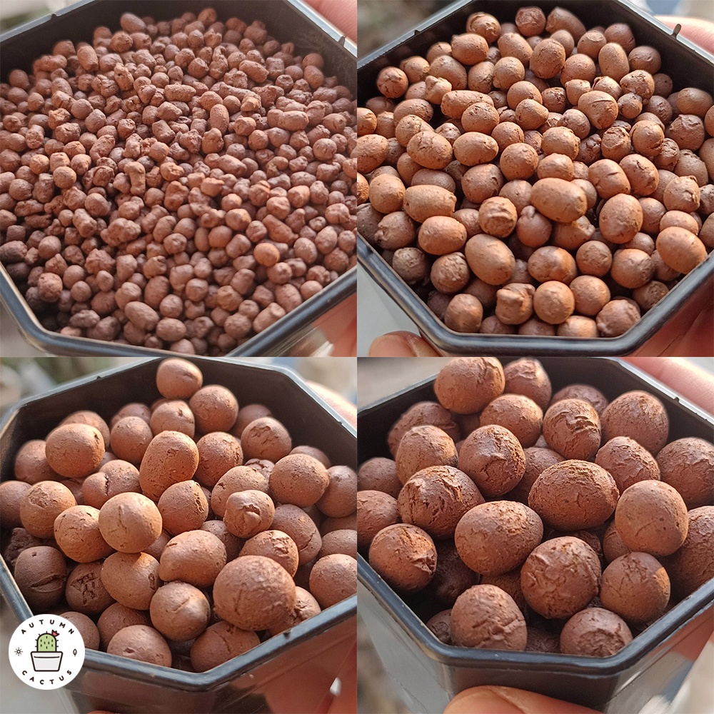 🟤 popper ป๊อบเปอร์ เม็ดดินเผา ดินมวลเบา โรยหน้ากระถาง ผสมดินปลูก ปอปเปอ บรรจุ 1 ลิตร 🟤🟤 - รูปที่ 5