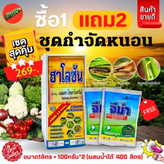 🌱 ชุดกำจัดหนอน (ฮาโลซัน 1 ลิตร+จีม่า 100กรัม*2) ซื้อ 1 แถม 2