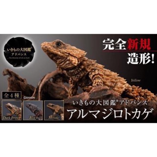 Gashapon Ikimono Encyclopedia Advance Armadillo Lizards กิ้งก่าอาร์มาดิลโล่