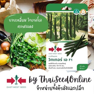 GGEW เมล็ดพันธุ์ บวบเหลี่ยม วิกเกอร์เอ 25 เมล็ด ตราศรแดง