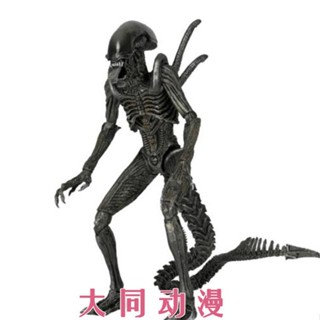 ฟิกเกอร์ Neca Alien 7 Wave AVP Combat Alien ขนาด 23 ซม. R7GP