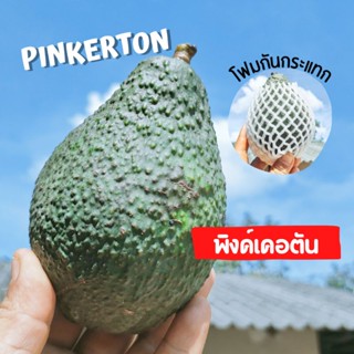 อะโวคาโดพิงค์เคอตัน PINKERTON :  1กิโลกรัม(ระยะเวลาสุก 5-10วัน)สินค้ารับเคลมปกติ👍