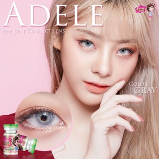 คอนแทคเลนส์ รุ่น Adele ยี่ห้อ Pretty doll Size mini สายฝอ สีเทา มีค่าสายตา