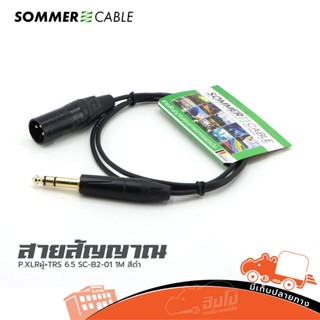 สายสัญญาณสำเร็จ Sommer P.XLRผู้+TRS 6.5 SC-B2-01 (1M) BLK ดำ ส่งฟรี (ใบกำกับภาษีทักเเชทได้เลยค่ะ) ฮิปโป ออดิโอ เอาท์เ...