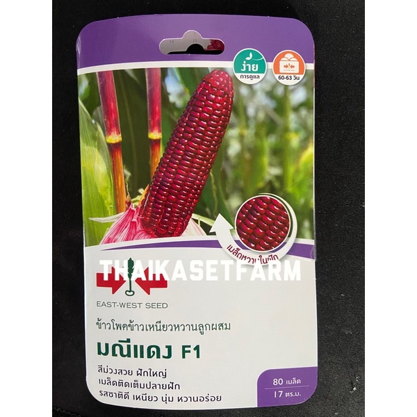 ข้าวโพดข้าวเหนียว(ซอง)Nมณีแดงแพค80เมล็ด ขายดี
