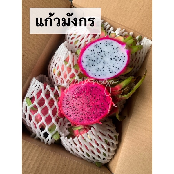 แก้วมังกรสีแดง แก้วมัวกรสีขาว หวานฉ่ำชื่นใจ
