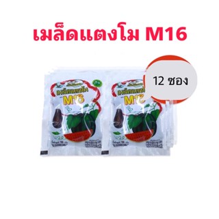 พร้อมส่ง เมล็ดแตงโมอบ ตรา M16 (15g.x12ซอง)