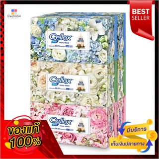 เซลล็อกซ์ ฟลาวเวอร์ 140 แผ่น แพค 6CELLOX FLOWER 140 SHEETS PACK 6