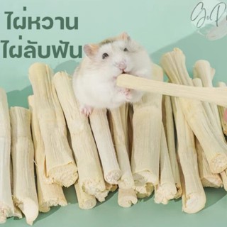 พร้อมส่ง ไผ่หวาน ไม้ลับฟัน ไม้แอปเปิ้ล ไม้ไผ่หวาน สำหรับสัตว์เลี้ยงฟันแทะ,กระต่าย,ชูก้า,แฮมเตอร์,ชินชิล่า